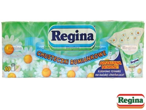 CHUSTECZKI HIGIENICZNE REGINA
