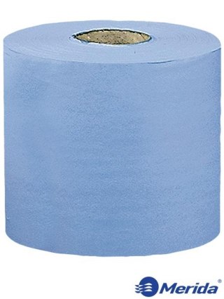 CZYŚCIWO PAPIEROWE EKONOMIK CELULOZA