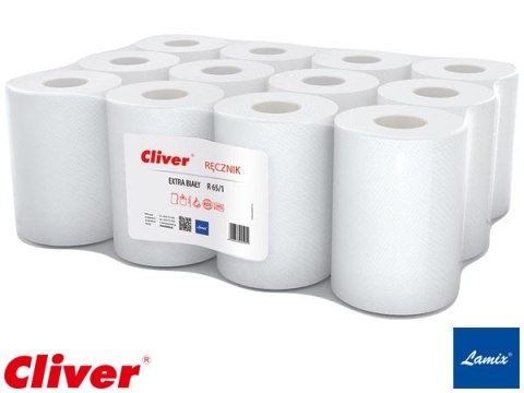 RĘCZNIK PAPIEROWY REMAK-65 12SZT