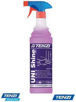 ŚRODEK DO MYCIA POWIERZCHNI BŁYSZCZĄCYCH - 600 ml