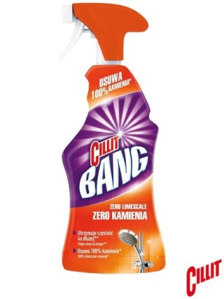 PŁYN CZYSZCZĄCY - 750 ml