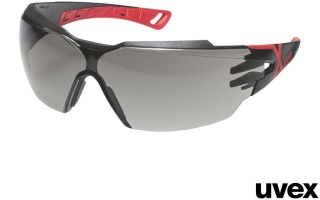 Okulary ochronne PHEOS CX2 szare
