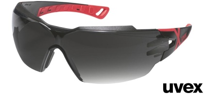 Okulary ochronne PHEOS CX2 ciemnoszare